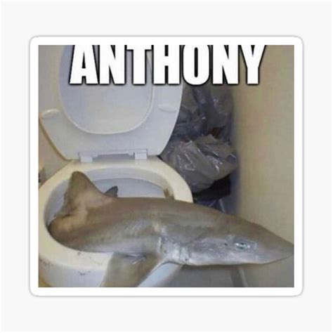 Anthony</b>, perfect imitator of Jesus, who received from God the special power of restoring lost things, grant that I may find [ name the item] which has been lost. . Anthony fish meme